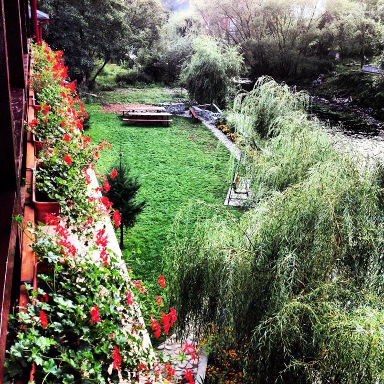 Pension Cuibul Viselor Baile Herculane Exterior photo